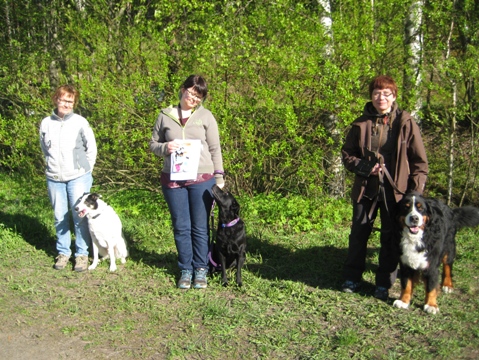 Rallymöllin avoinluokka