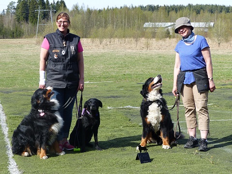 Rallymöllin avoinluokka