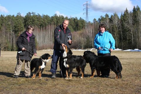 Möllitokon pentuluokka
