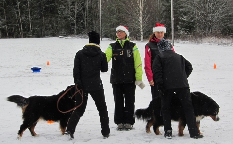 Alkukättely