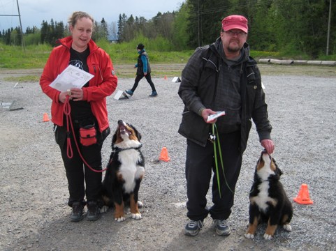 Rallymöllin pentuluokka